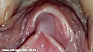 Adolescente italiana raggiunge l'orgasmo in una sessione da sola in POV con orgasmo del clitoride