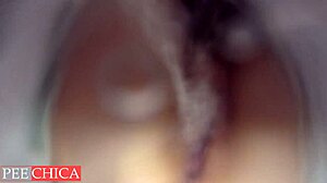 Sperma wcipce: En skjult kamerautsikt over en overraskende creampie