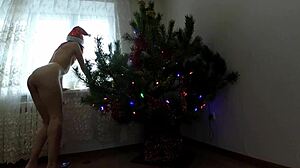 Coppia amatoriale viene scopata nel culo e nella figa in un video porno sull'albero di Natale