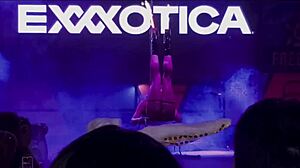 Анастасия Диор празнува 15-годишнината на Exxxoticas в Едисън, Ню Джърси